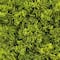 10" Faux Moss Mat by Ashland®